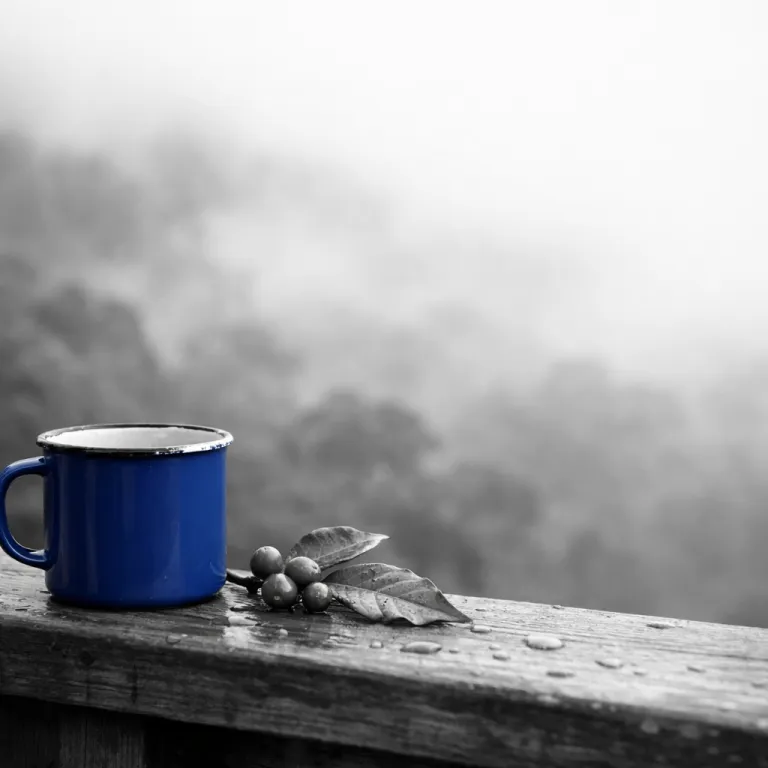 Selva Negra Nicaragua: an elegant eco-lodge retreat in the northern highlands